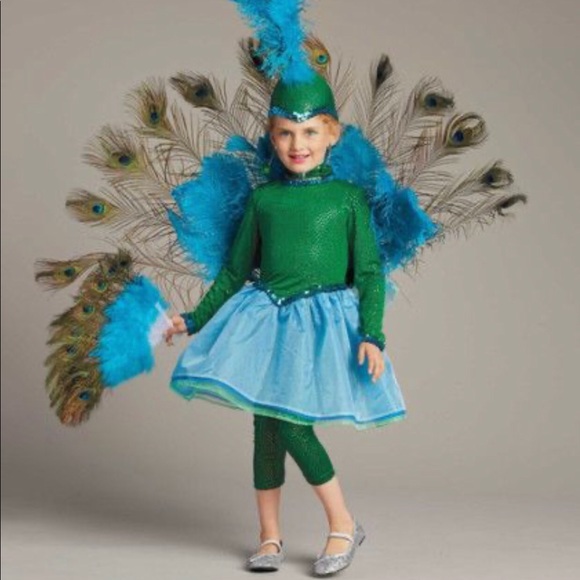 Chasing Fireflies Other - Chasing Fireflies Peacock Costume - size 8